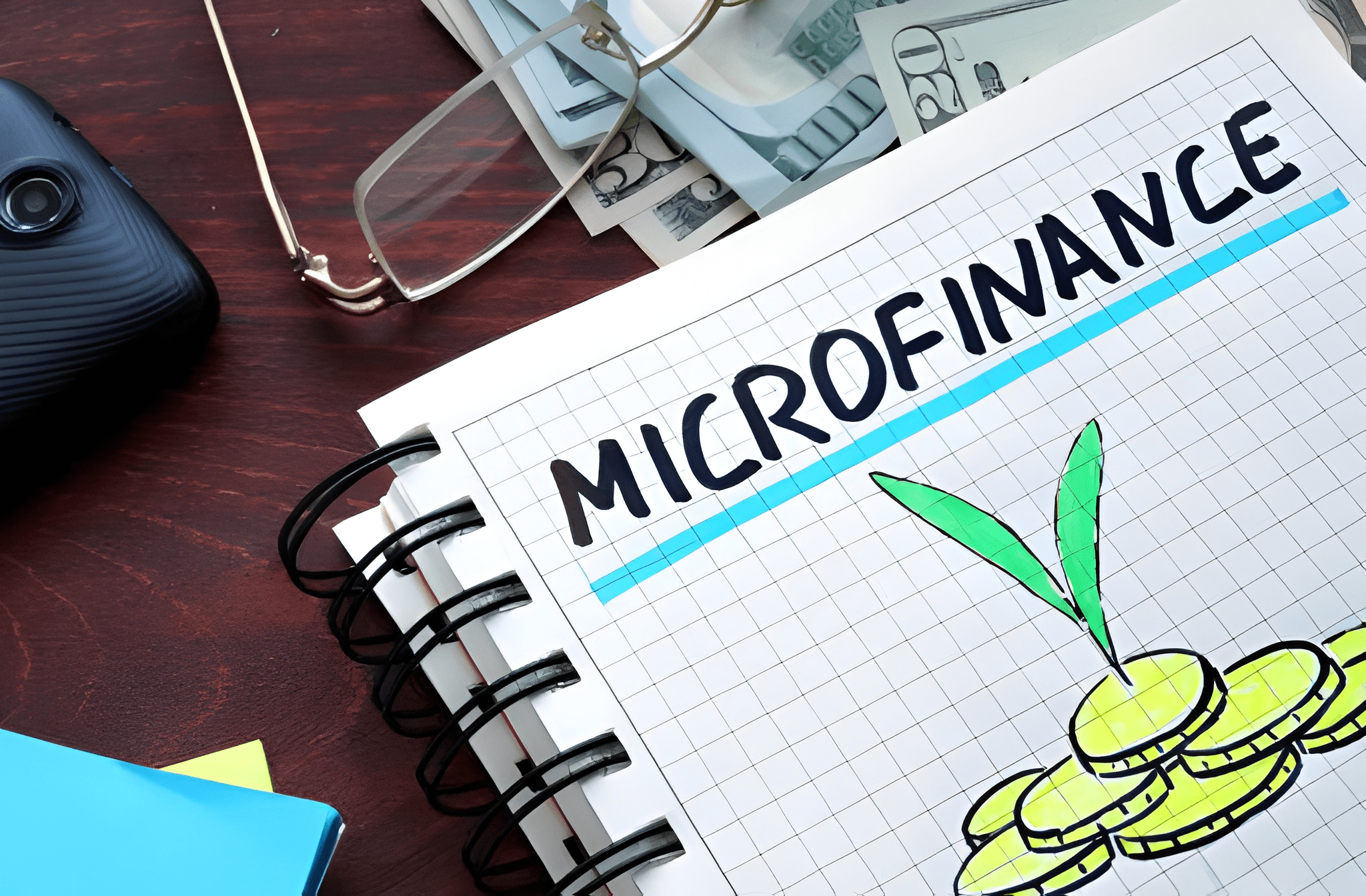 Le secteur de la microfinance
