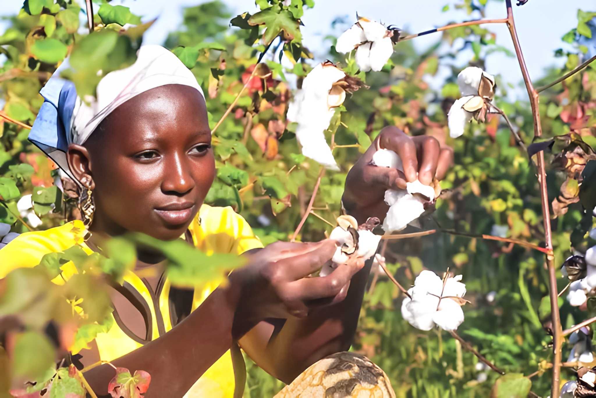 Inclusion financière au Burkina Faso : un levier clé pour la transformation économique